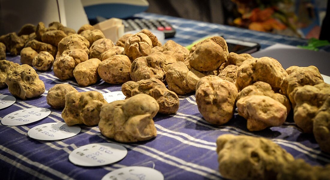 Fiera Nazionale del Tartufo di Montiglio Monferrato