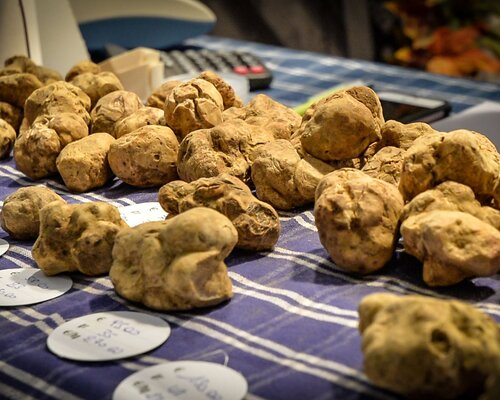 Fiera Nazionale del Tartufo di San Damiano d'Asti e Fiera dei Santi