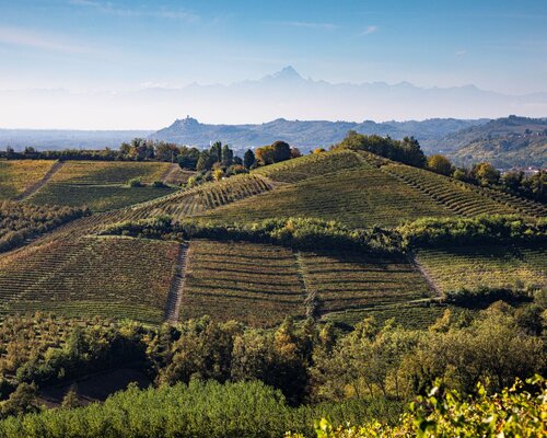 Variazioni D Autunno Dalle Colline Dei Grandi Rossi Alle Colline Dell Alta Langa 150119