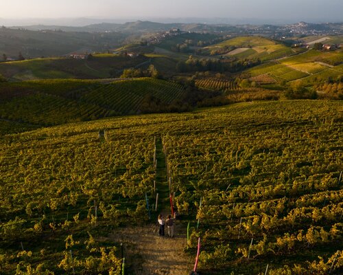 Walk on The Moscato Hills, Vineyard Verses and the Rapulè Festival - Castiglione Tinella (CN)