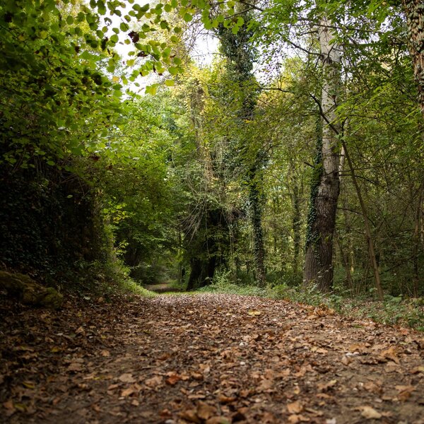 Parks of the Monferrato Area