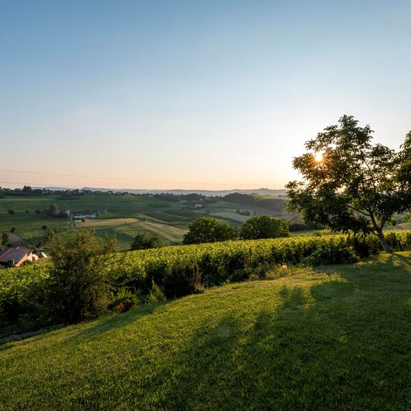 Das Monferrato von Costigliole d’Asti