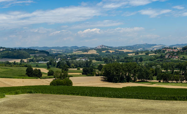 Romanico Da Montechiaro