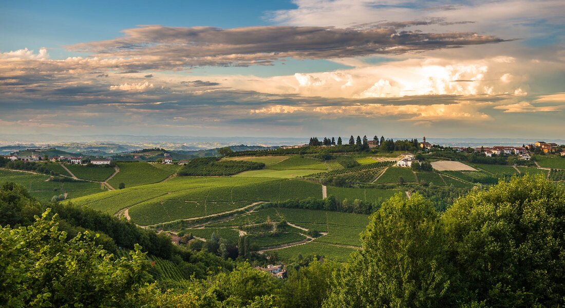 Bar To Bar: Barbaresco-Barolo