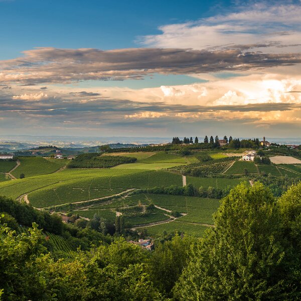 Bar To Bar: Barbaresco-Barolo