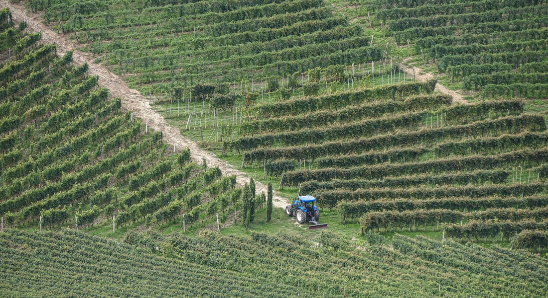 Bar to Bar - Tappa2A: Cascina Alberta (Treiso) - San Rocco Seno d'Elvio (Alba)