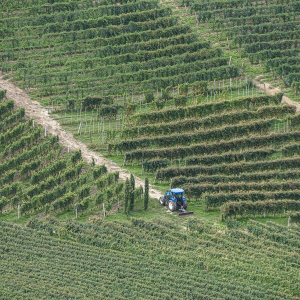 Bar to Bar - Leg 2A: Cascina Alberta (Treiso) - San Rocco Seno d'Elvio (Alba)