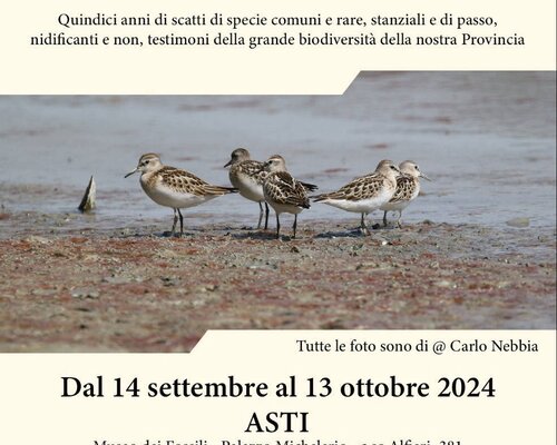 Mostra fotografica  "In punta d'Ali" - Asti