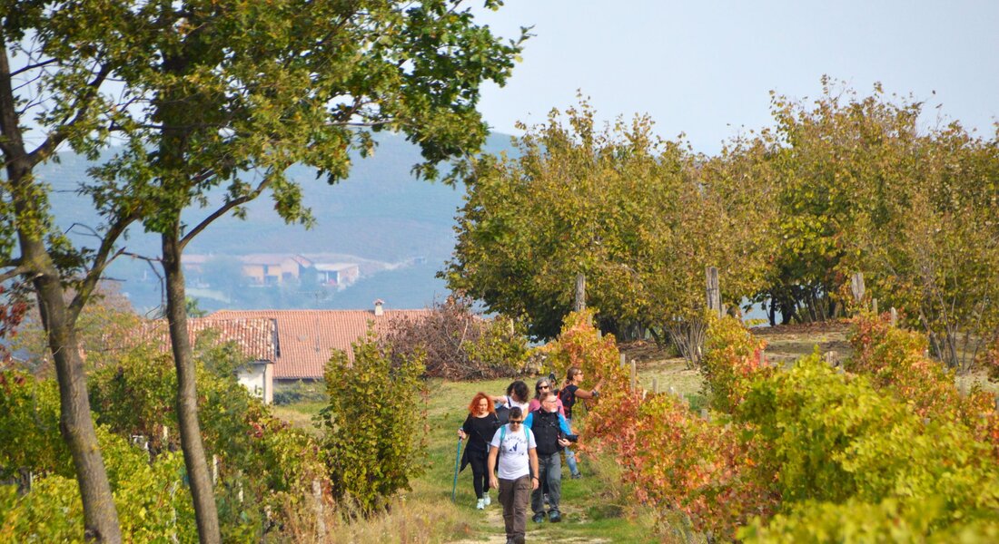 From the Borgo di Neive to the Medieval Festival of Mango