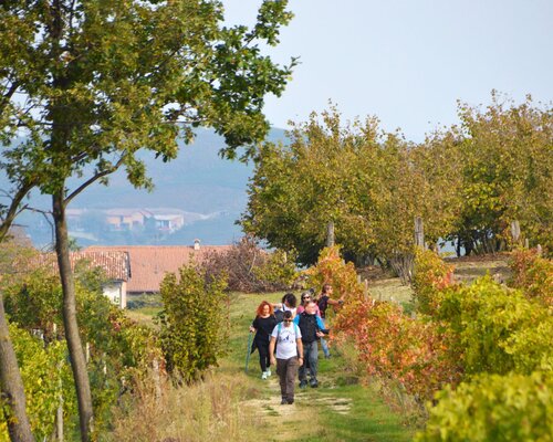 From the Borgo di Neive to the Medieval Festival of Mango