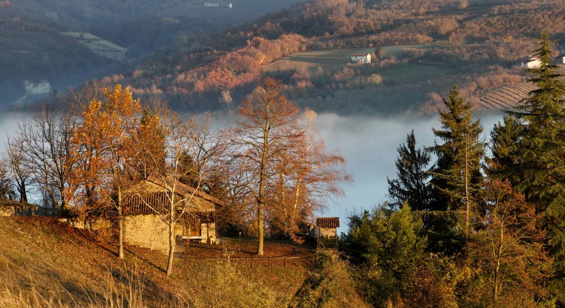 Escursioni Terre Alte - Langhe e Roero