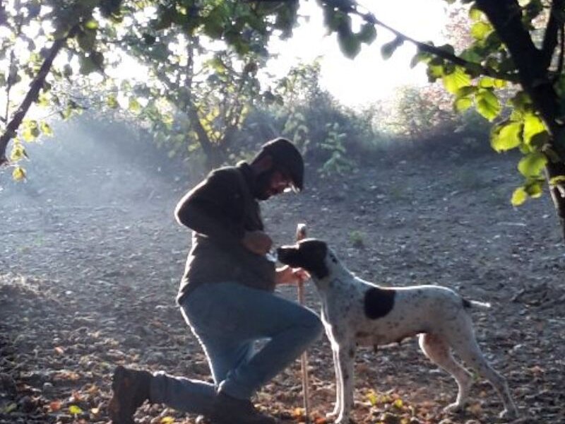 Piacere Tartufo: Ricerca del tartufo e light lunch nel bosco - Alba