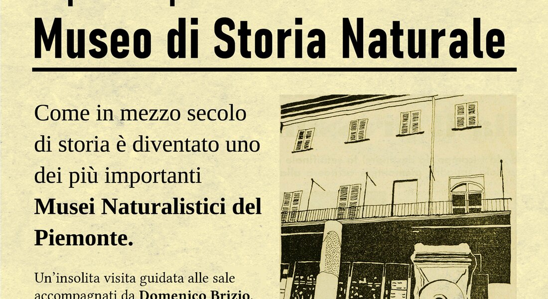 1974 – 2024: 50 anni dalla riapertura del Museo Craveri di Bra