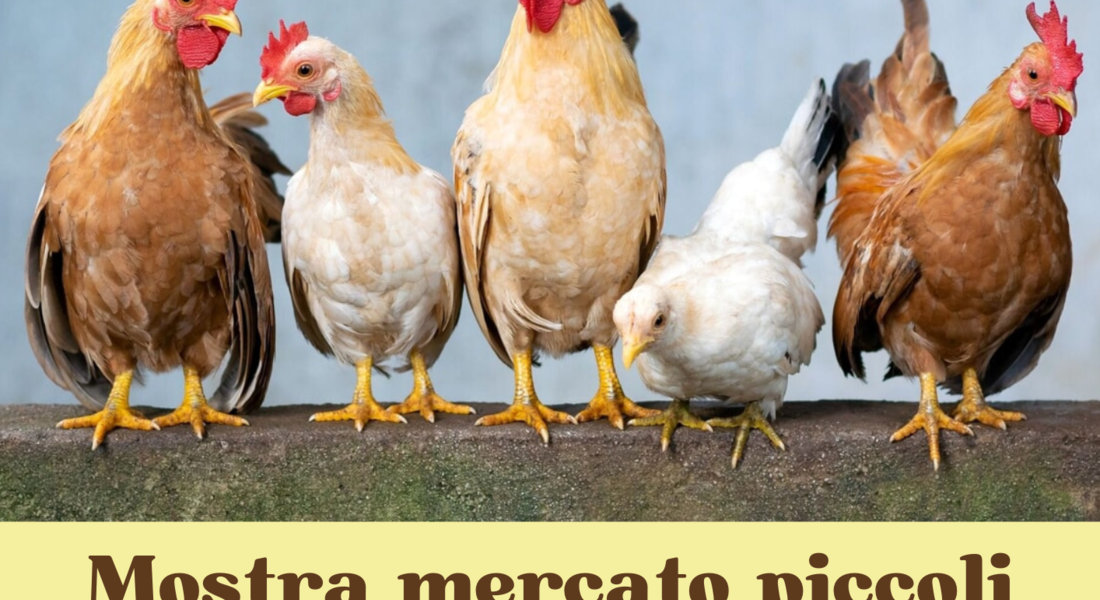 Mostra-Mercato Piccoli Animali - San Damiano d'Asti