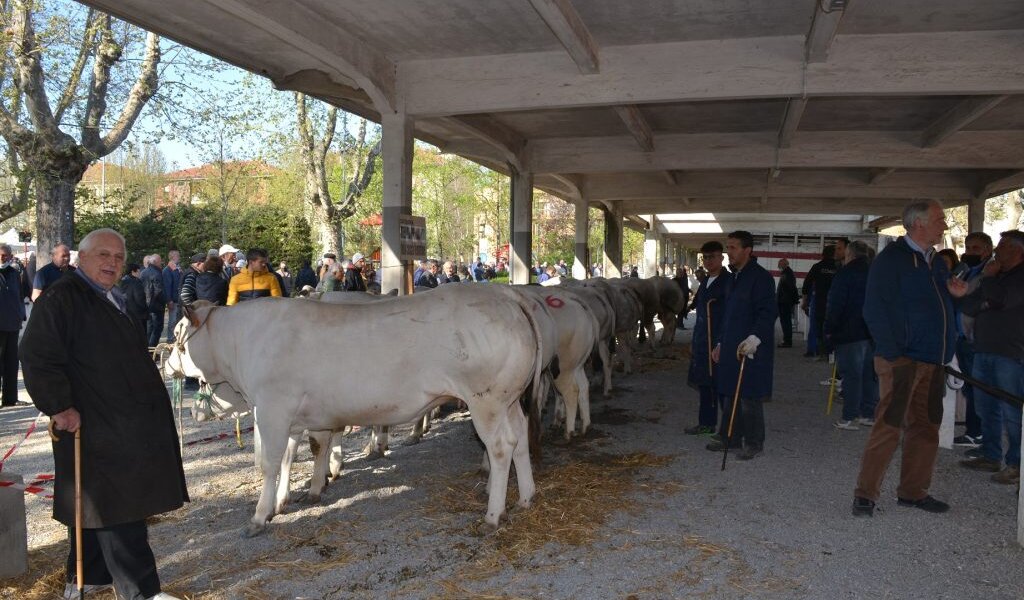 Fiera di Pasquetta -  Bra (CN)