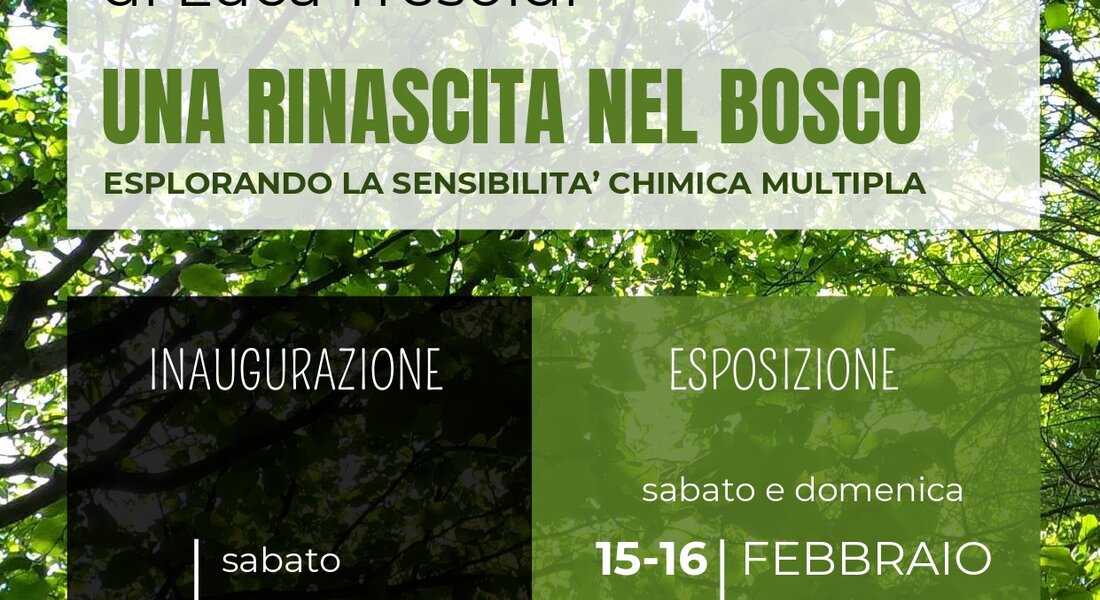 Mostra fotografica "Una rinascita nel bosco" - Mombercelli