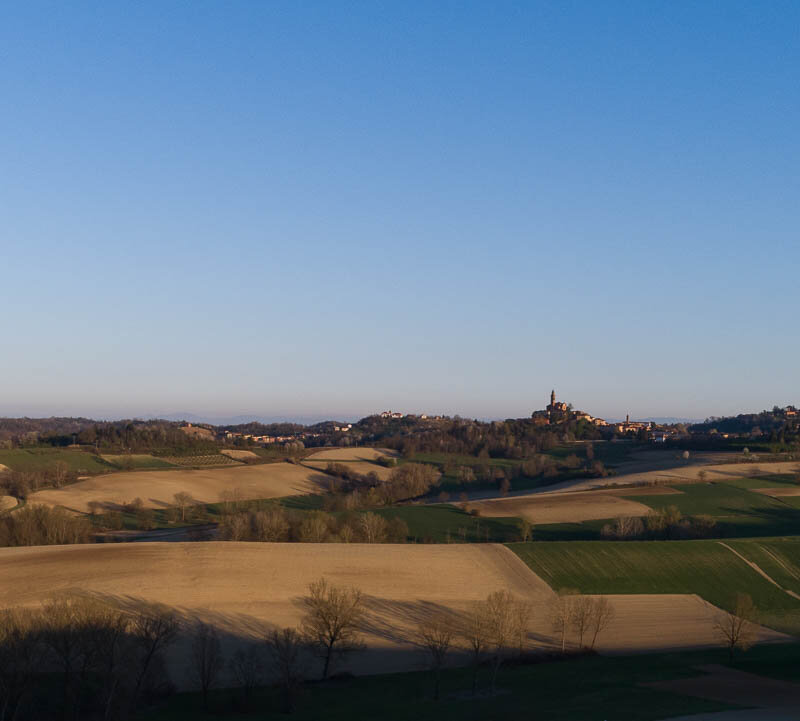 Paesaggi OroMonferrato Credits Nicolas Tarantino Archivio Ente Turismo LMR (7)