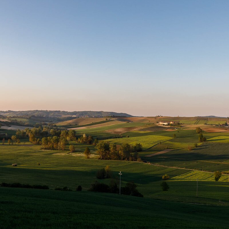 Paesaggi OroMonferrato Credits Nicolas Tarantino Archivio Ente Turismo LMR (78)