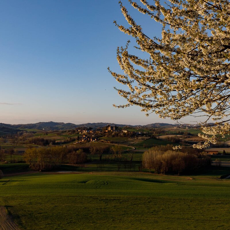 Paesaggi OroMonferrato Credits Nicolas Tarantino Archivio Ente Turismo LMR (56)